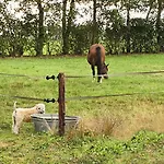 Recreatiewoning De Nieuwenhof Hébergement de vacances *