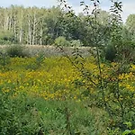 Recreatiewoning De Nieuwenhof *