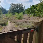 Recreatiewoning De Nieuwenhof * Melderslo