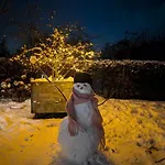 Recreatiewoning De Nieuwenhof