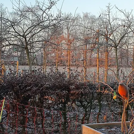 Recreatiewoning De Nieuwenhof * Melderslo