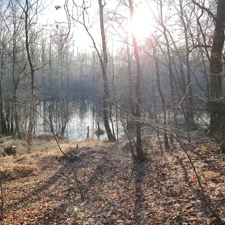 Holiday home Recreatiewoning De Nieuwenhof