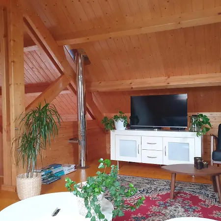 Recreatiewoning De Nieuwenhof Semesterbostad *