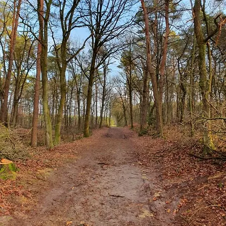 Holiday home Recreatiewoning De Nieuwenhof *