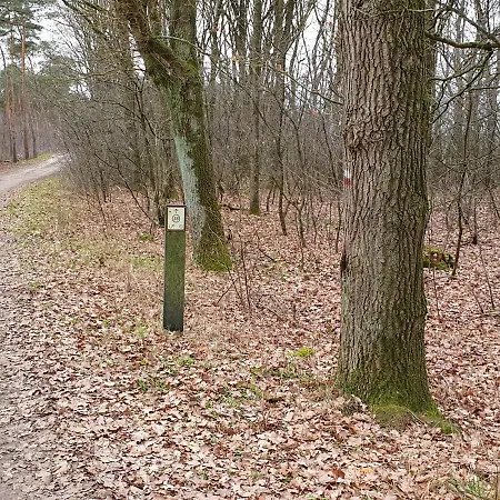 Recreatiewoning De Nieuwenhof Holiday home