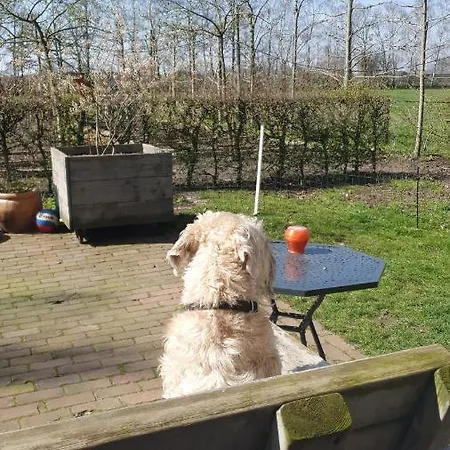 Casa vacanze Recreatiewoning De Nieuwenhof Melderslo