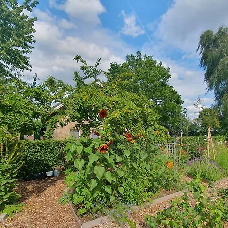Recreatiewoning De Nieuwenhof *