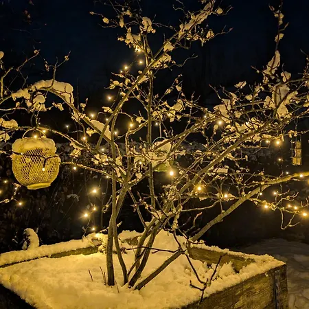 Дом отдыха Recreatiewoning De Nieuwenhof Melderslo