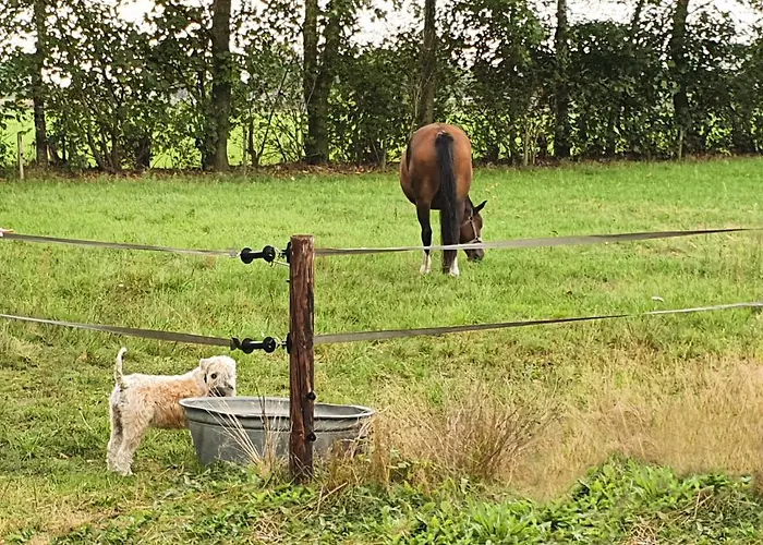 Recreatiewoning De Nieuwenhof Holiday home *