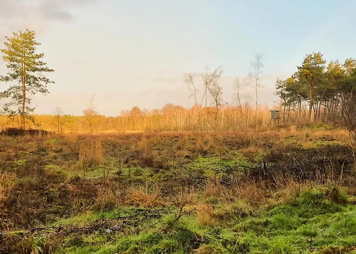 Feriehus Recreatiewoning De Nieuwenhof *