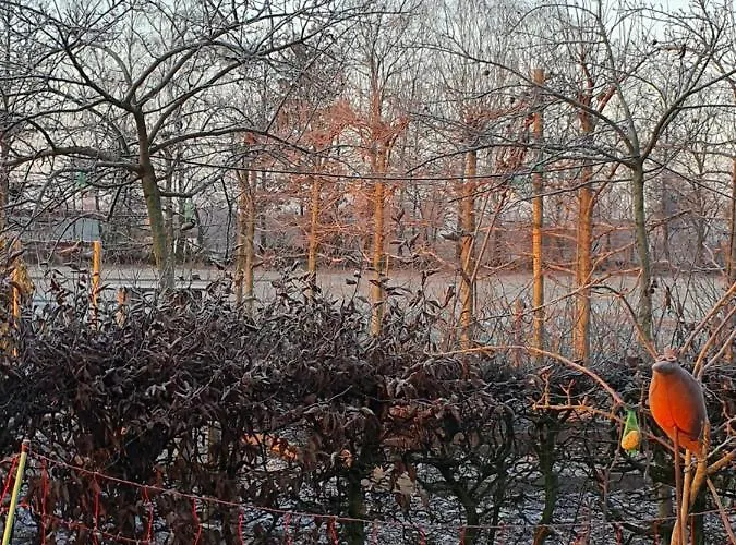 Recreatiewoning De Nieuwenhof * Melderslo