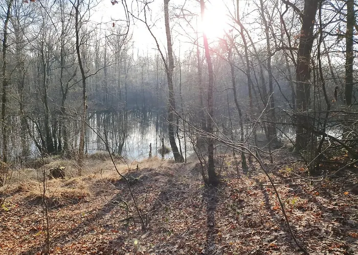 Дом отдыха Recreatiewoning De Nieuwenhof