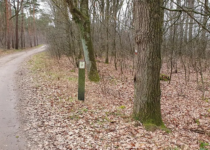 Recreatiewoning De Nieuwenhof Дом отдыха