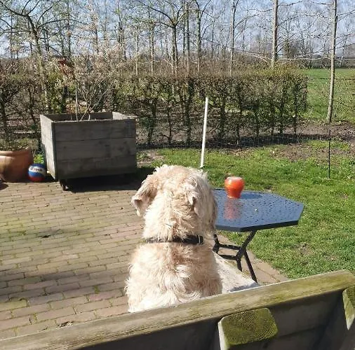 Дом отдыха Recreatiewoning De Nieuwenhof Melderslo