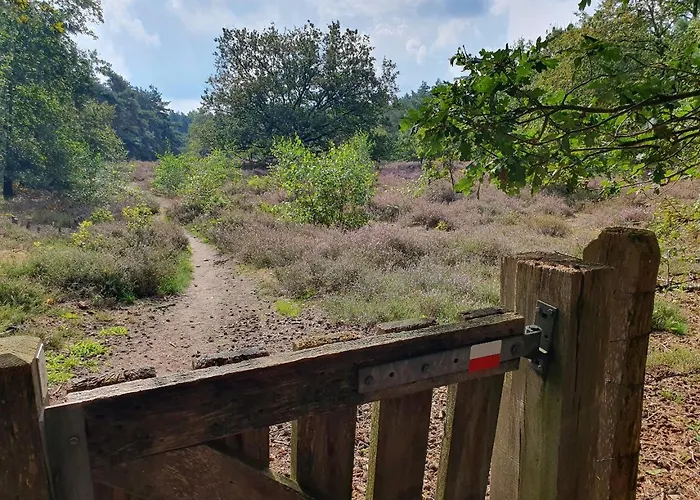 Recreatiewoning De Nieuwenhof * Melderslo