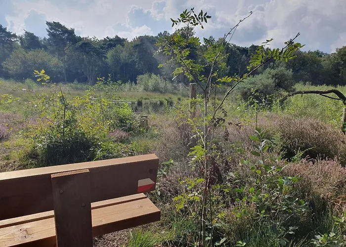 Recreatiewoning De Nieuwenhof *