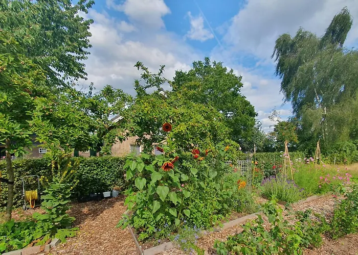 Recreatiewoning De Nieuwenhof *