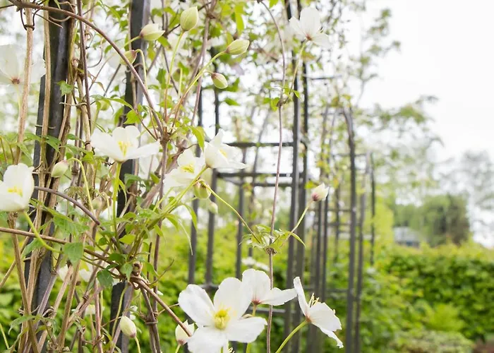Recreatiewoning De Nieuwenhof Melderslo