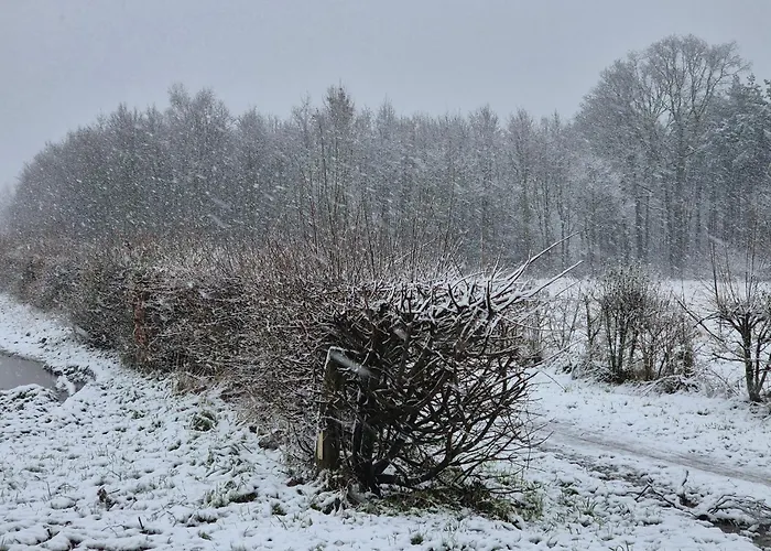 Holiday home Recreatiewoning De Nieuwenhof *