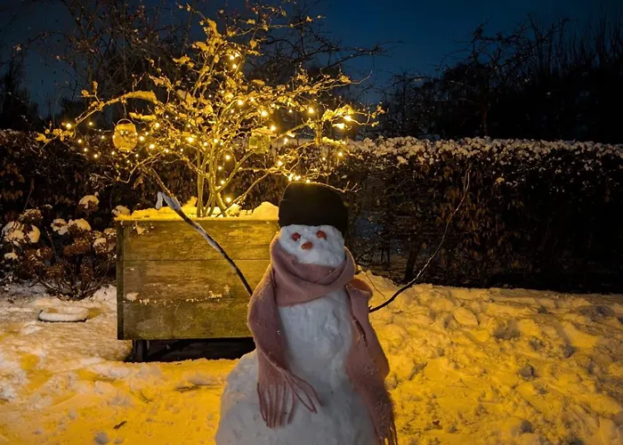 Recreatiewoning De Nieuwenhof
