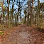 Dom wakacyjny Recreatiewoning De Nieuwenhof *