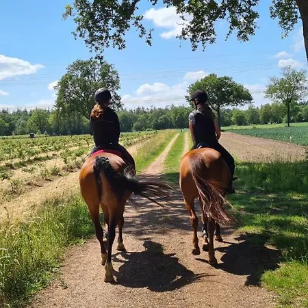 Recreatiewoning De Nieuwenhof Prázdninový dům *