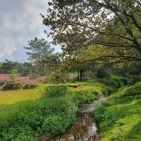 Recreatiewoning De Nieuwenhof Prázdninový dům