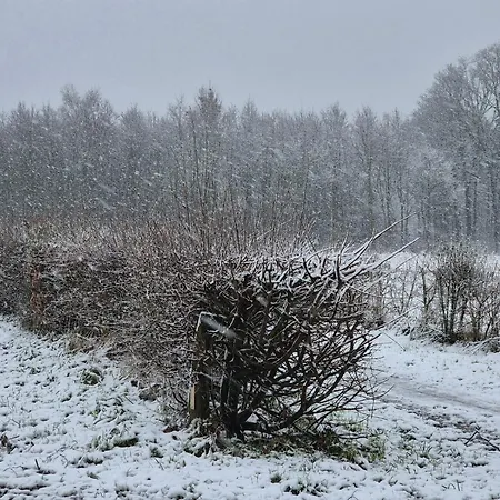 펜션 Recreatiewoning De Nieuwenhof *