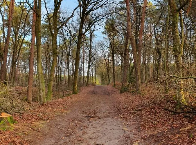 펜션 Recreatiewoning De Nieuwenhof *