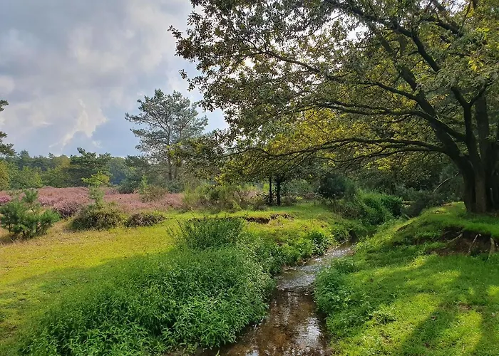 Recreatiewoning De Nieuwenhof 펜션